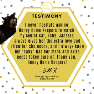 HHK Testimony - Jill Hiebert