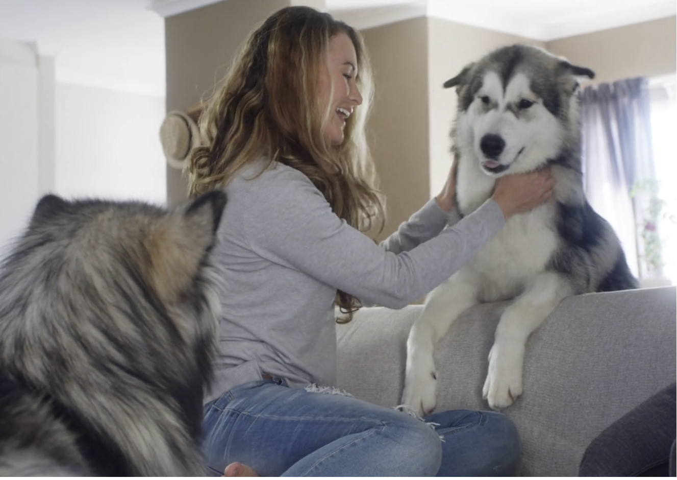 Home Keeper with two Malamutes in a warm living room